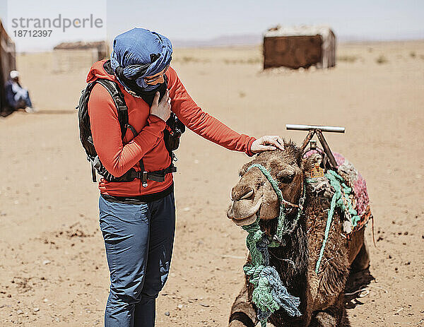 Westliche Touristin mit Hijab streichelt ein Kamel in der Wüste  Marokko