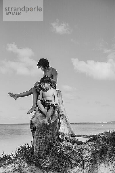 Zwei junge gemischtrassige asiatische Jungen sitzen auf einem Baumstumpf