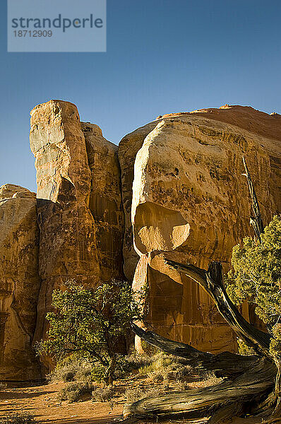 Felsformationen im Needles District des Canyonlands National Park  Utah.