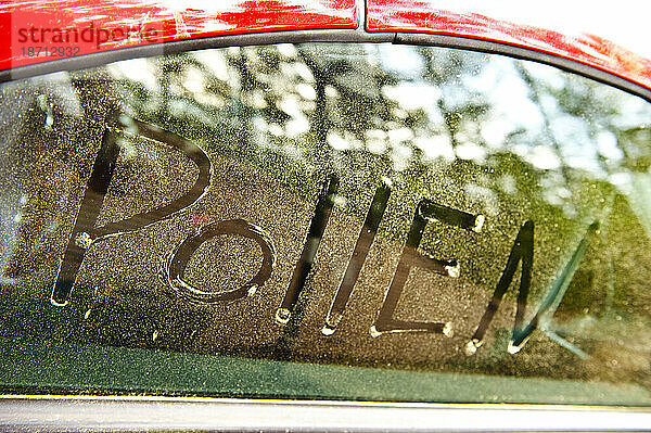 Das Wort „Pollen“ steht in Pinienpollen auf der Seitenscheibe eines Autos.