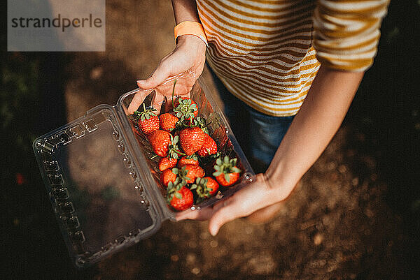 Mädchen hält frisch gepflückte Erdbeeren