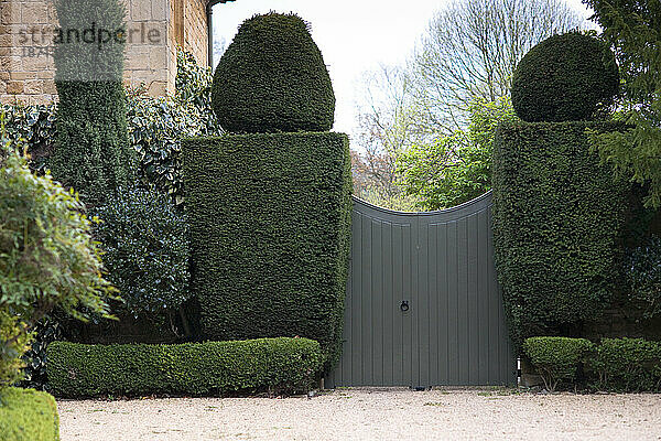 Eine Reihe von Hecken entlang der Hauptstraße von Boradway  England.