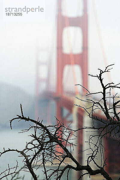 Golden Gate Bridge  Fokus auf den Vordergrund.