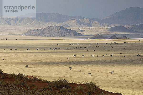 Blick von der Dunes Lodge  Wolwedans Lodge  Namib Rand Nature Reserve  Hardap Region  Namibia