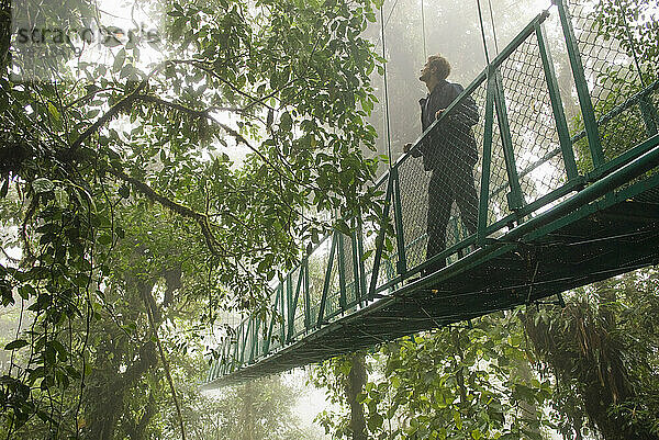 Ein junger Mann auf einer Brücke im Nebelwald von Monteverde  Costa Rica.