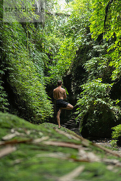 Mann in Vrikshasana  Baumhaltung  Yoga in der Natur im Dschungel.