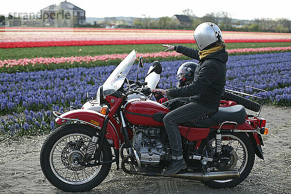 Ein paar Freunde erkunden die niederländische Landschaft und schauen sich Tulpen an