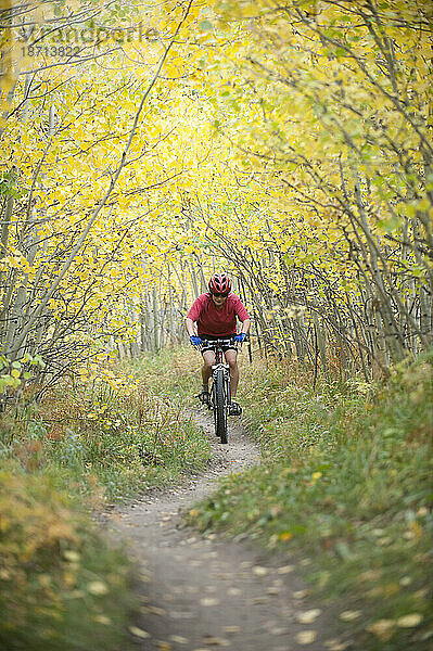 Singletrail-Mountainbiken im Herbst.