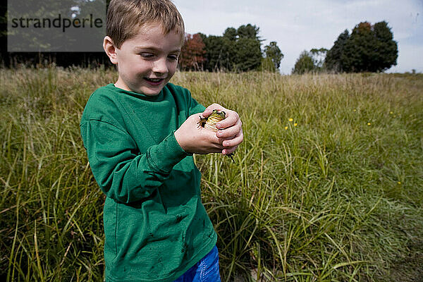 Vierjähriger Junge mit grünem Hemd hält einen Frosch auf einem Feld.