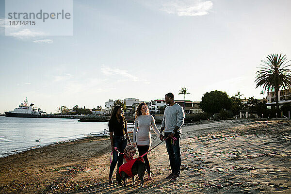 Patchwork-Familie steht bei Sonnenuntergang mit Hunden am Strand