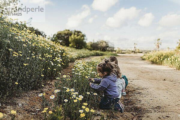 Kleine Kinder spielen auf einem Blumenfeld mit blauem Himmel im Hintergrund