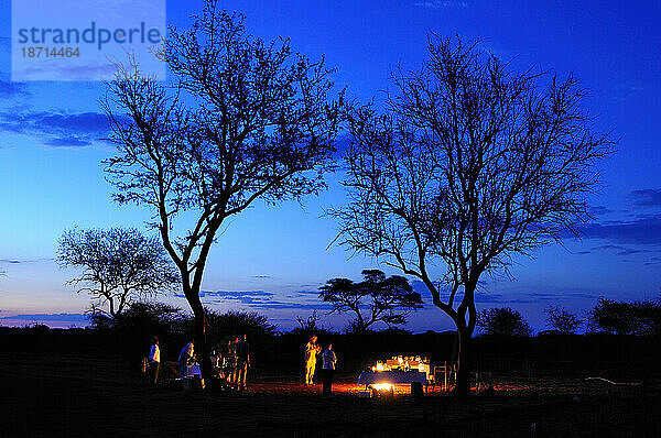 Bush-Dinner mit Lagerfeuer  Jaci's Tree Lodge  Madikwe Game Reserve  Nordwesten  Südafrika