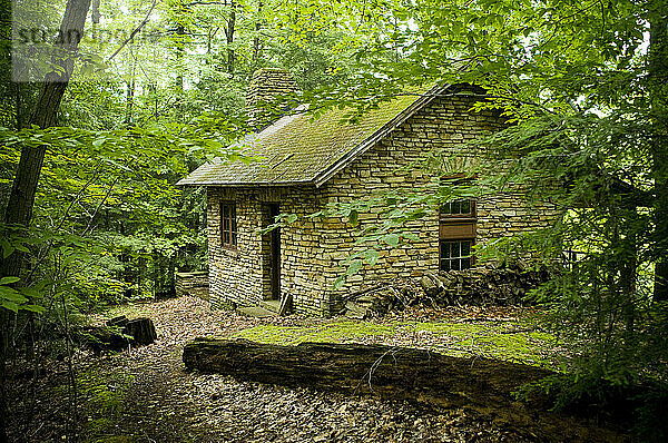Ein altes Steinhaus  umgeben von einem Wald.