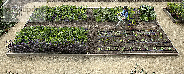 Essbarer Garten in Kalifornien.