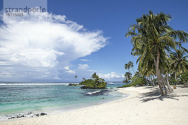Weißer Sandstrand mit Palmen und klarem blauen Wasser  Samoa