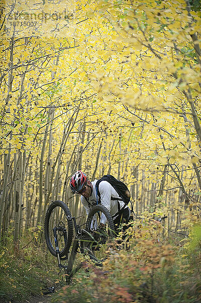 A man makes an adjustment on his mountain bike in an aspen grove.