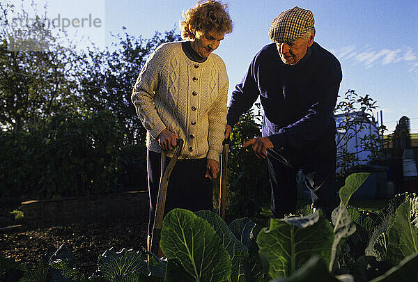 Älteres Paar bespricht seinen Garten in High Wycombe  England.