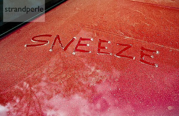 In Kiefernpollen geschriebene Worte auf der Ladefläche eines Pick-up-Trucks.