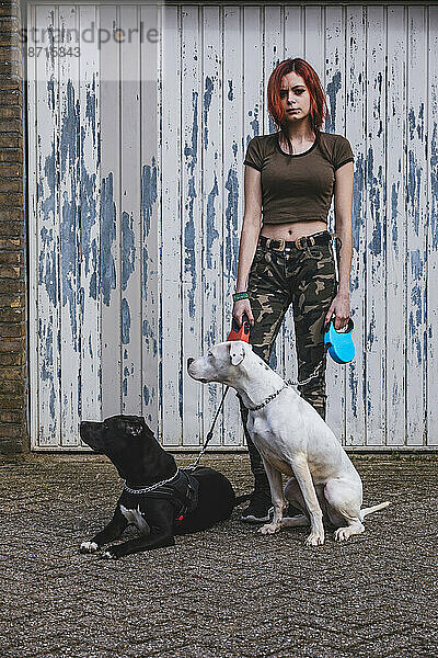 Junge Frau mit 2 großen Hunden in der Stadt