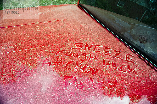 In Kiefernpollen geschriebene Worte auf der Ladefläche eines Pick-up-Trucks.