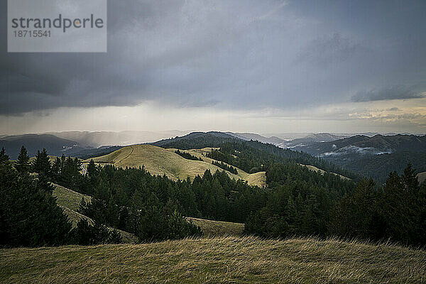 Sturmwolken aus grasbewachsenen Hügeln und Wäldern