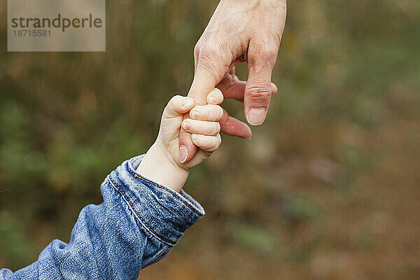 Nahaufnahme eines kleinen Kindes und eines Elternteils  die Händchen halten
