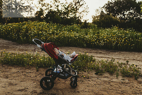 Seitenansicht von Kinderwagen und Baby im Blumenfeld