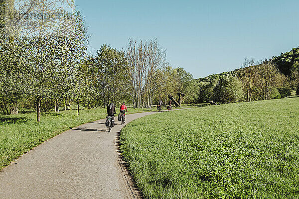 Radfahrer fährt mit dem Fahrrad durch den Wald  Romantische Straße