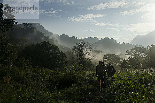 Eine morgendliche Wanderung durch einen nebligen Dschungel in Kolumbien