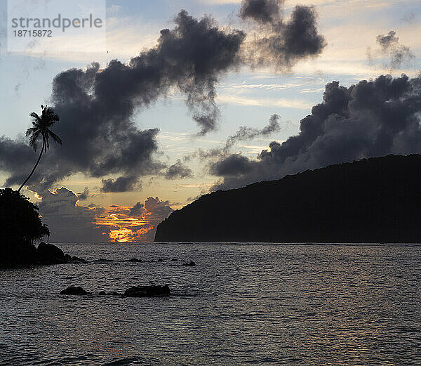 Silhouette einer schiefen Palme bei Sonnenaufgang in Samoa