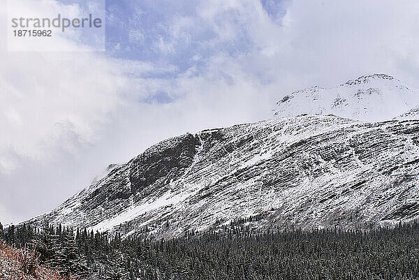 Winteransichten des Jasper-Nationalparks  Alberta  Kanada