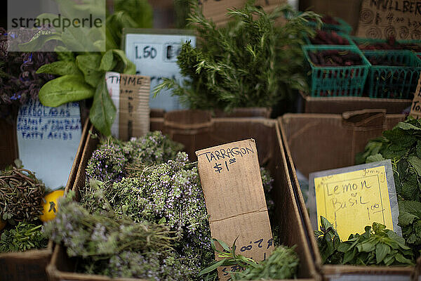 Eine Auswahl an Bio-Kräutern auf dem Ojai Farmers' Market  Ojai  Kalifornien.