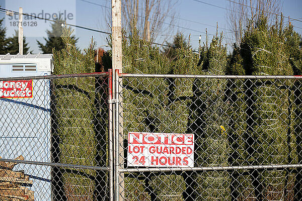 Ein Schild warnt Eindringlinge  dass der Weihnachtsbaumgrundstück in Portland  Oregon  24 Stunden am Tag bewacht wird.