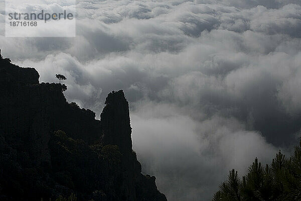 Morgennebel bedeckt den Nationalpark Sierra de Grazalema in der Nähe von Grazalema  Provinz Cádiz  Andalusien  Spanien.