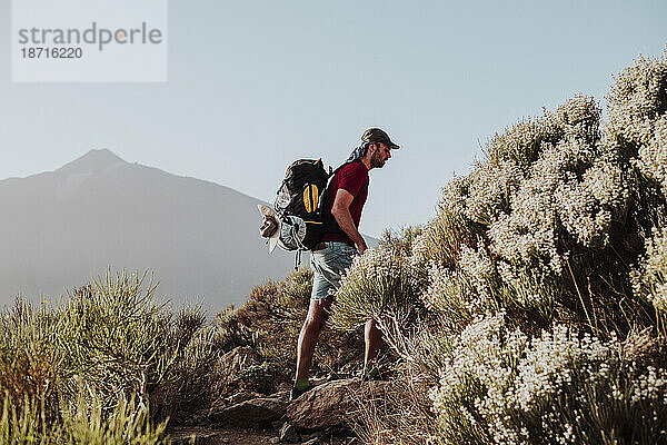 Ein Mann  der mit Rucksack im Berg El Teide  Teneriffa  spaziert