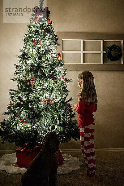 Mädchen und Hund schauen auf den Weihnachtsbaum