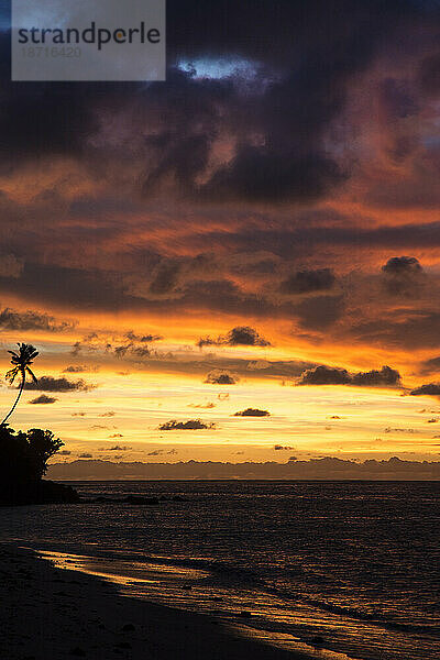 Bunter Sonnenaufgang am Strand  mit Silhouette einer Palme  Samoa