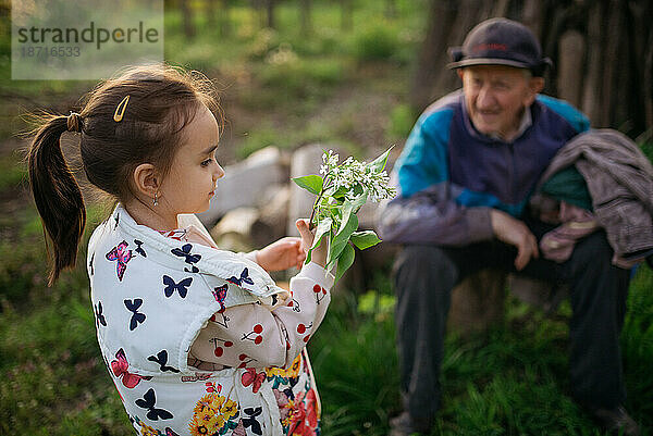 Kleines Mädchen schenkt ihrem Urgroßvater in der Natur Blumen