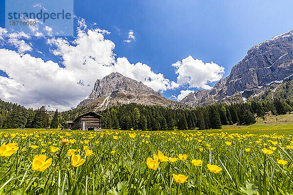 Peitlerkofel und Erbepass im Frühling  Dolomiten  Südtirol