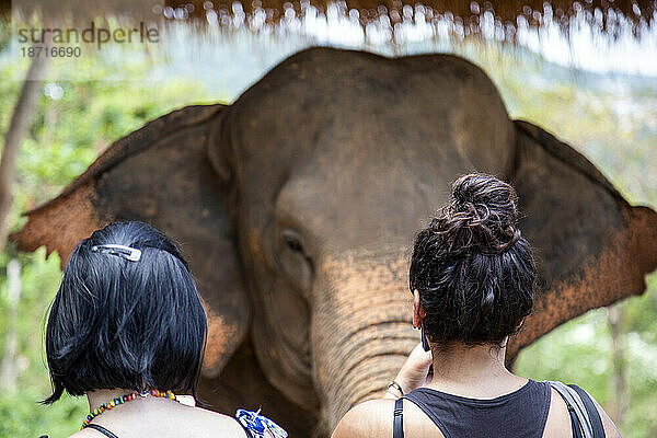 Zwei Frauen besuchen einen verletzten Elefanten in einem örtlichen Elefantenschutzgebiet