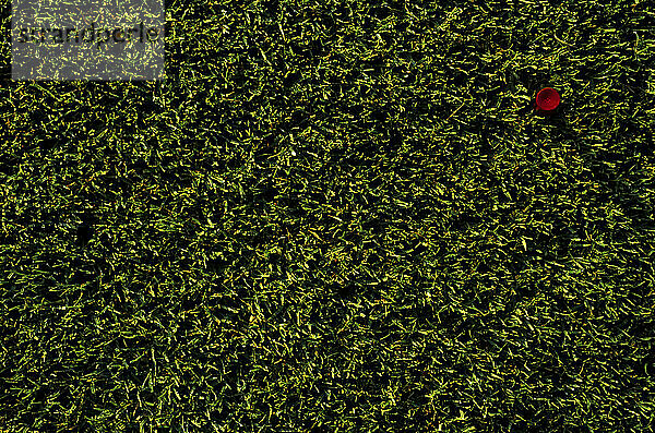Rotes Golf-Tee im grünen Gras.