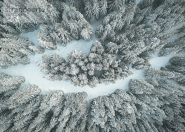 Winterwunderland in den Bergen in Washington
