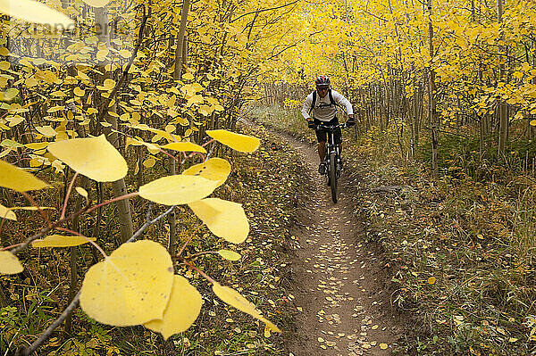 Mountainbiken mit Singletrail und gelben Blättern.