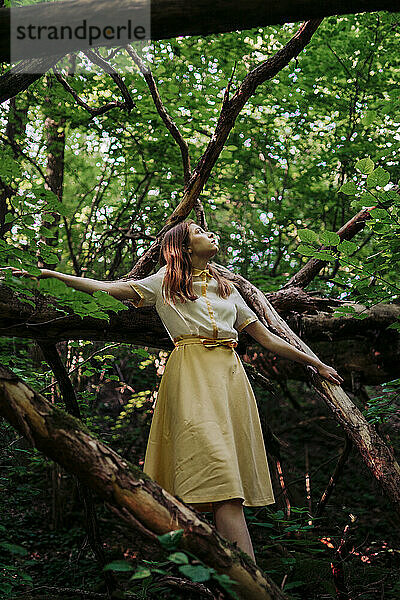 Frau in der Nähe eines umgestürzten Baumes im Wald