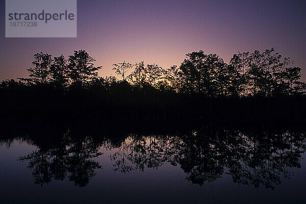 Bäume und Sonnenuntergangsfarben spiegeln sich im Wasser im Everglades-Nationalpark  Florida.