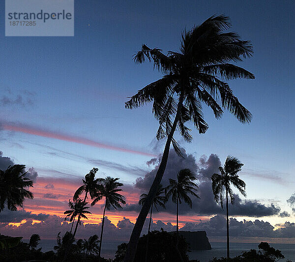 Silhouette von Palmen und kleiner Insel bei Sonnenuntergang in Samoa