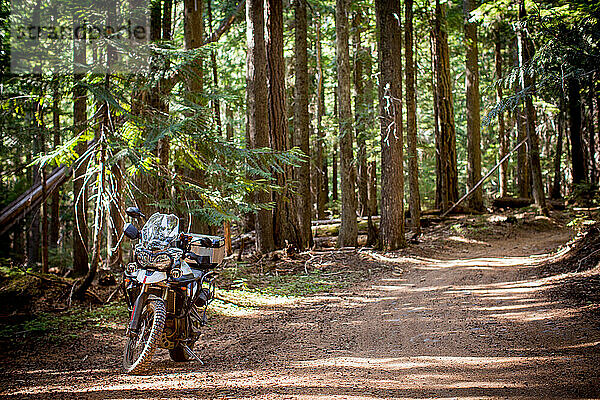 Abenteuerliche Motorradfahrt auf der unbefestigten Waldstraße in der Nähe von Mt. Hood  Oregon