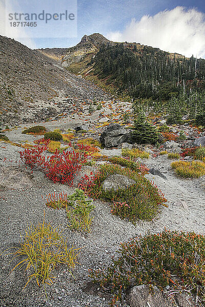 Mount St. Helens Monitors Ridge Herbst