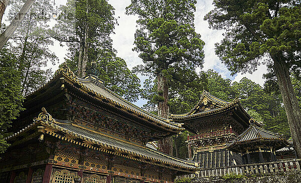 Nikko Toshogu-Schrein-Tempel in Nikko im Frühling  Japan