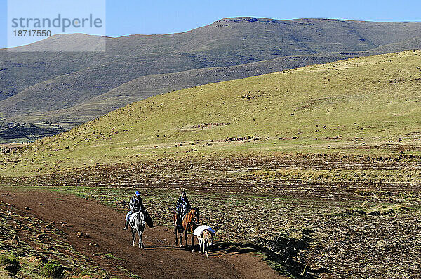 Basotho-Menschen zu Pferd in der Nähe von Semonkong  Lesotho  Südafrika